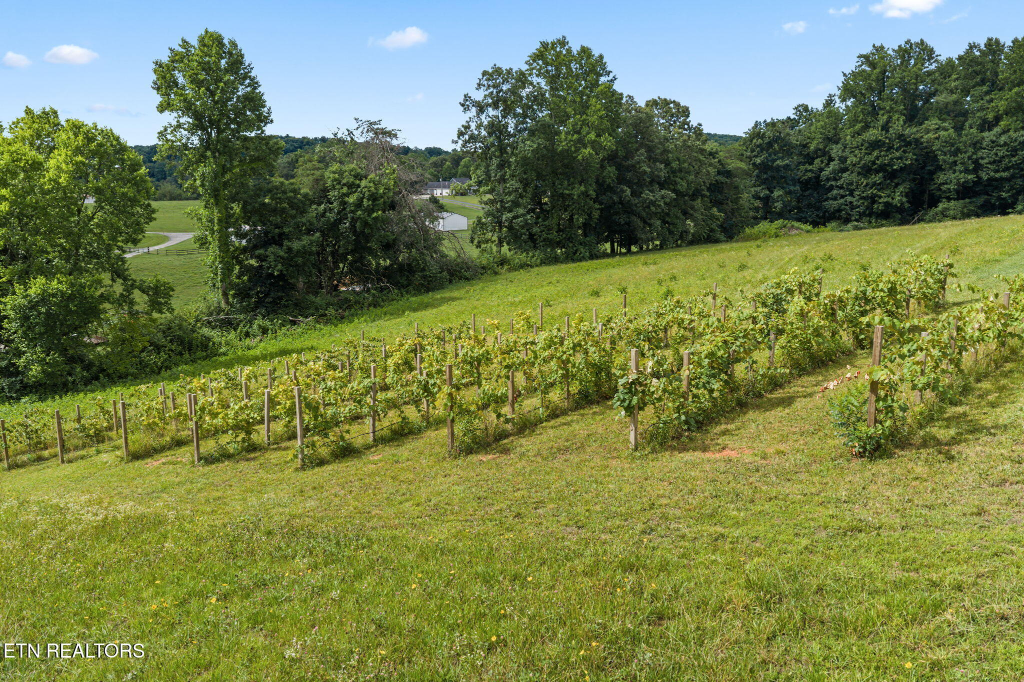 260 Long Hollow Road Clinton, TN 37716 - Photo 12 of 47 12-web-or-mls-620 Long Hollow-058