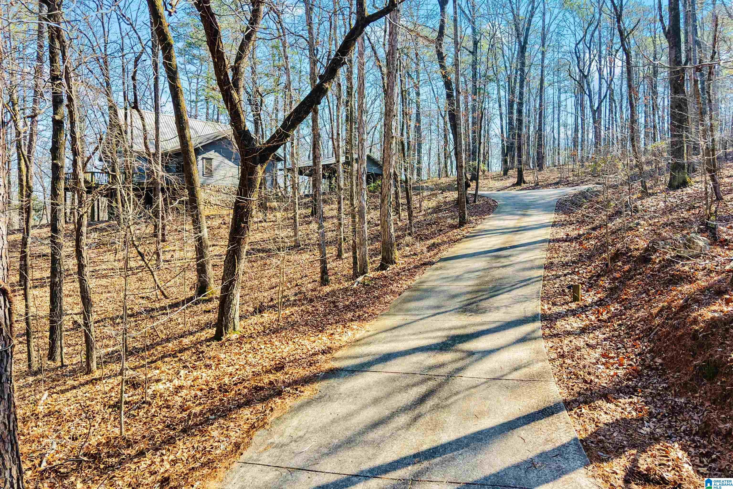 266 Davis Acres Drive Alpine, AL 35014 - Photo 58 of 60