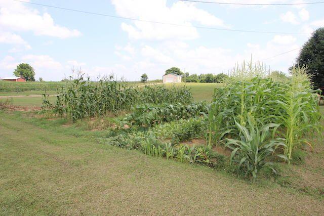 155 Eugene Harness Road Science Hill, KY 42553 - Photo 28 of 101 20200720123345378743000000-o