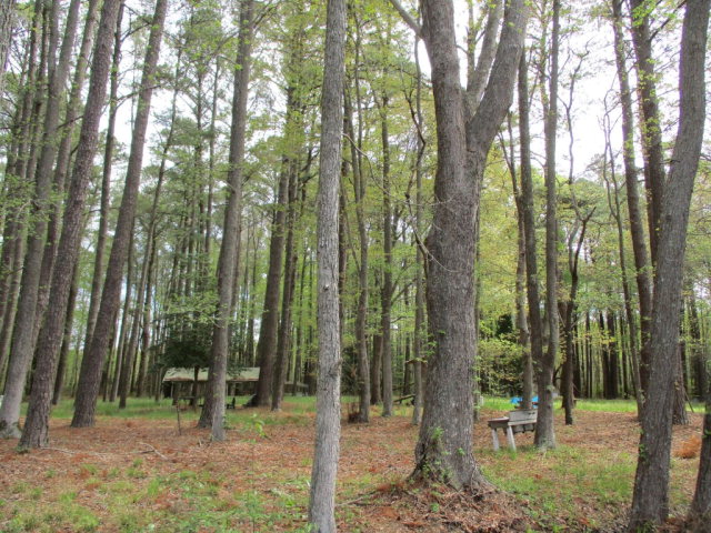 113 Martin Road, Unit 113 Danville, VA 24541 - Photo 4 of 10