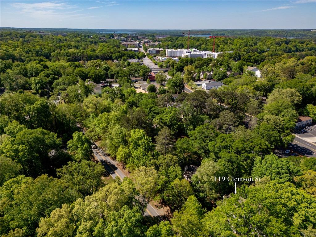 119 Clemson Street, Unit 3 AND 4 Clemson, SC 29631 - Photo 37 of 42 Incredible location close to campus and downtown