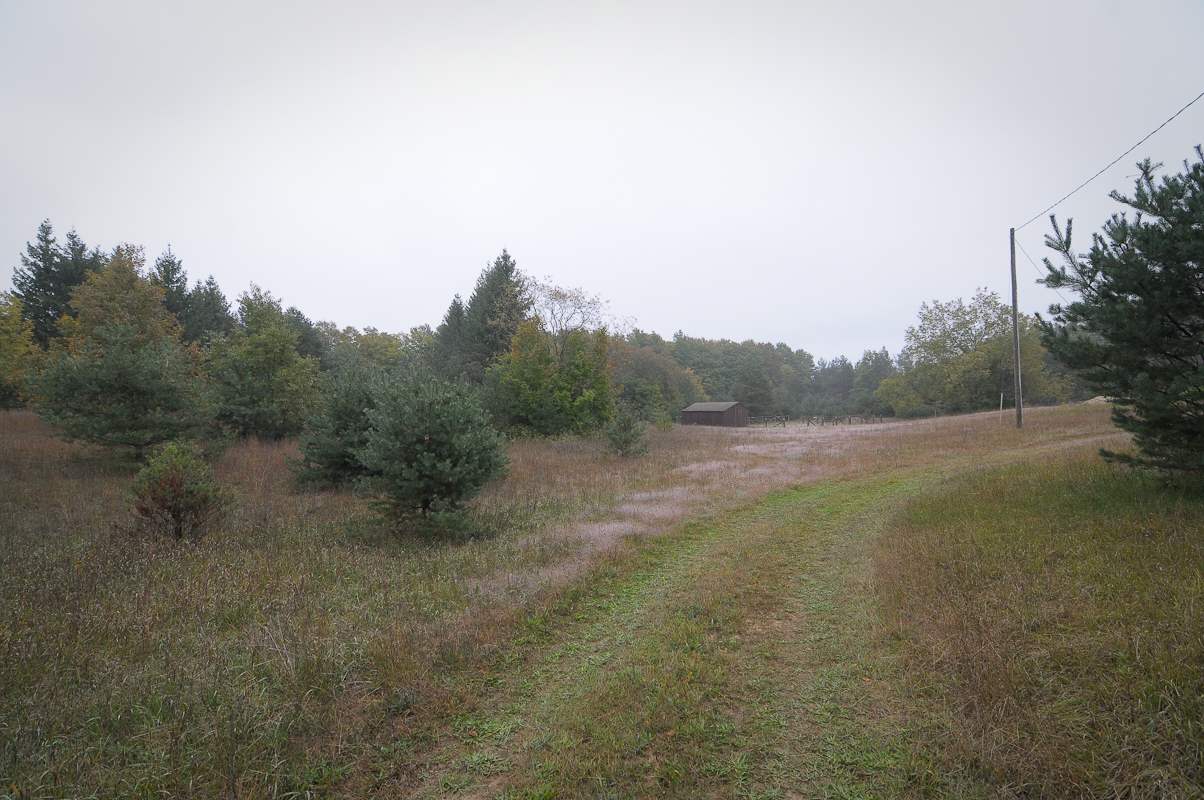 2530 No 45 Road Manton, MI 49663 - Photo 28 of 35 1853629-27.JPG