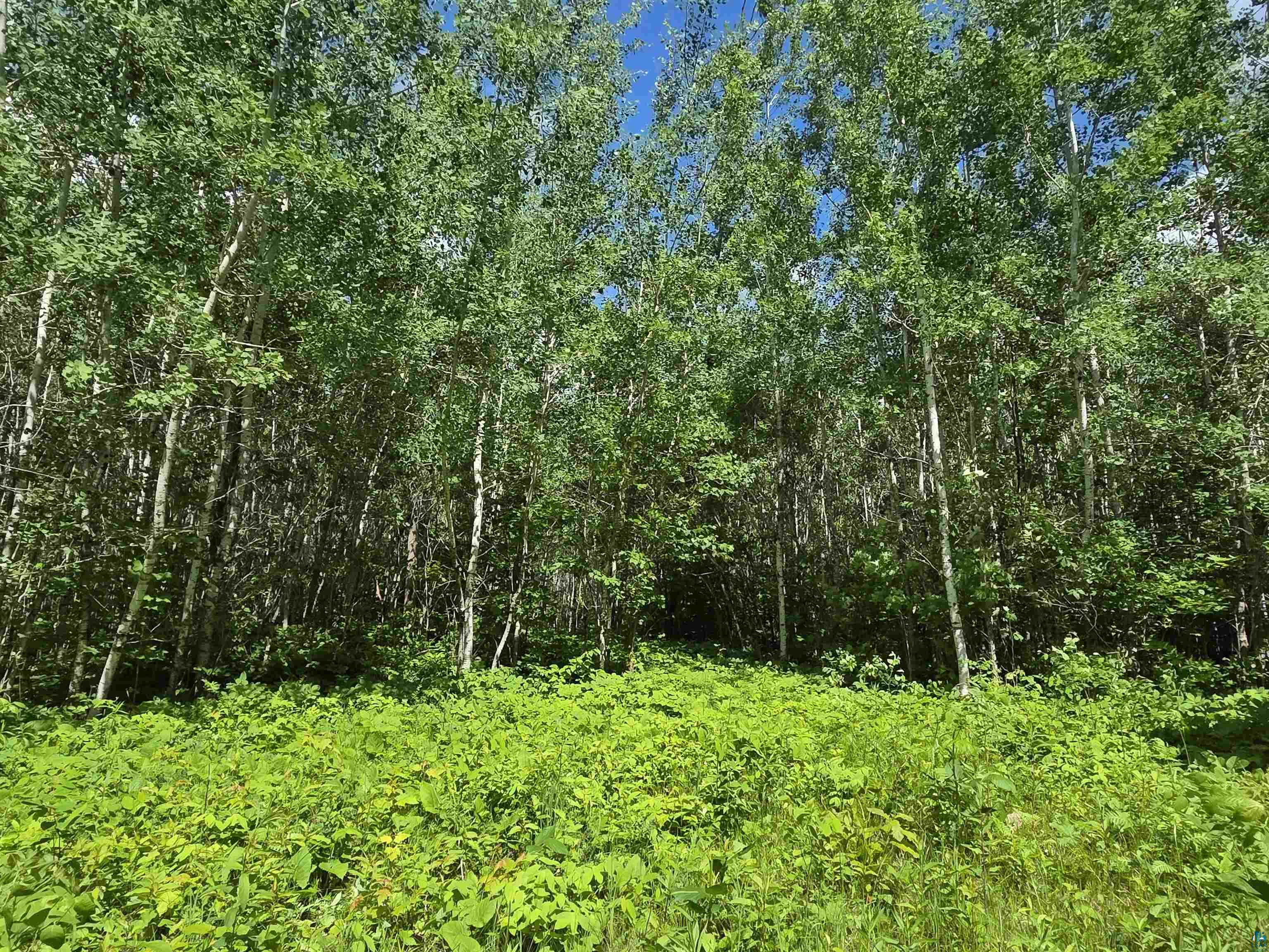Xxx M T Nelson Road Mahtowa, MN 55707 - Photo 7 of 19