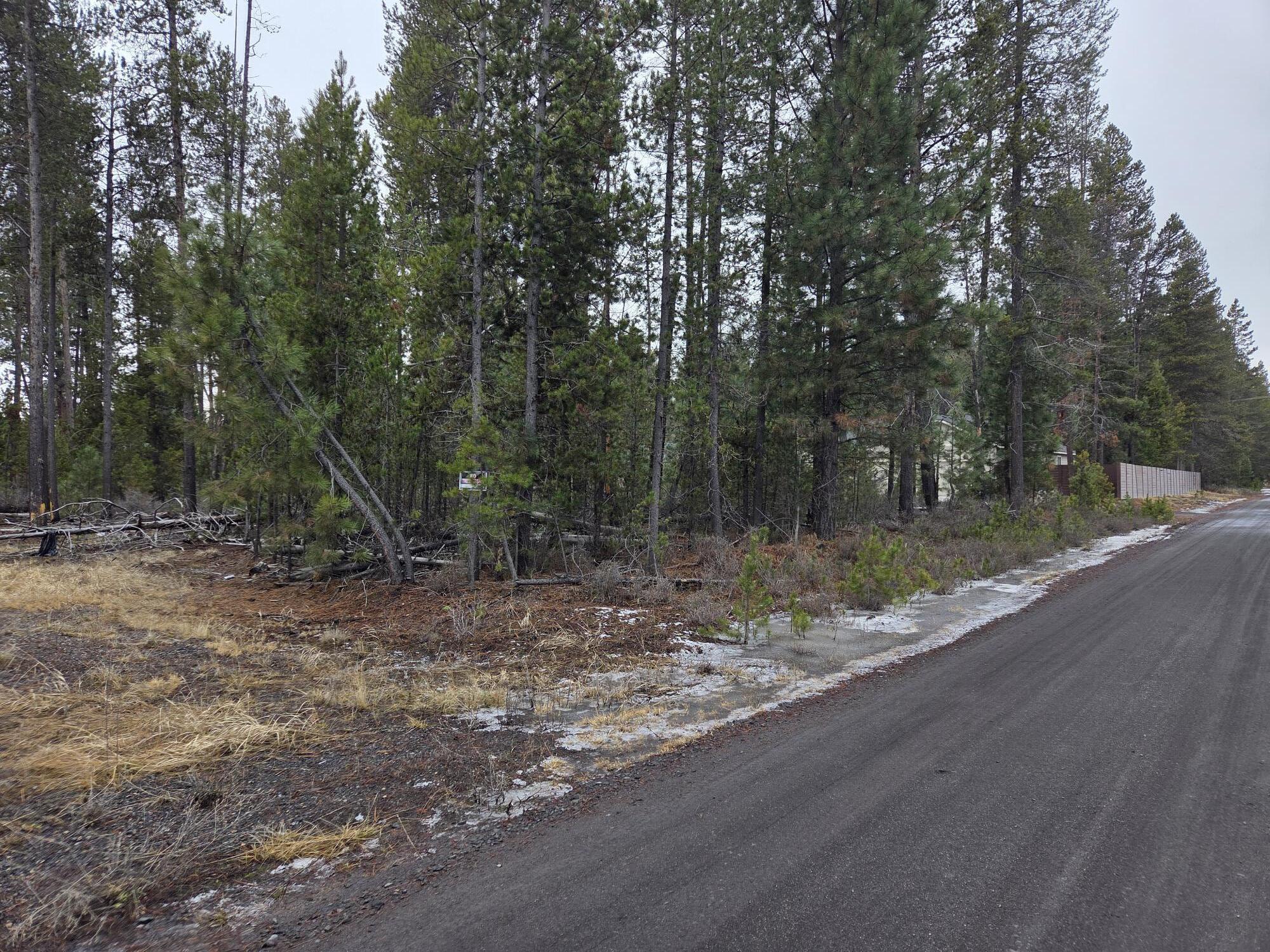 15627 Rim Drive La Pine, OR 97739 - Photo 4 of 9 a view of a out door space area
