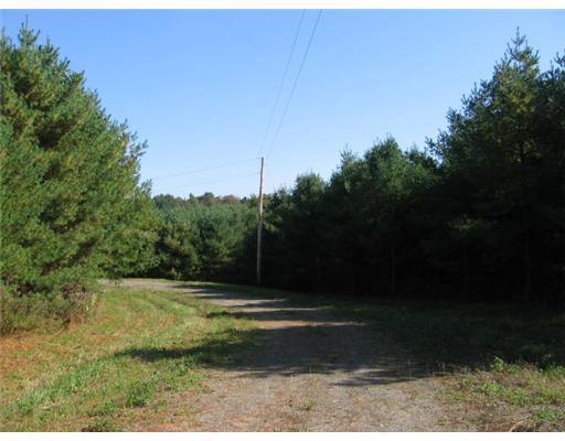 0 Rome Road Mercer, ME 04957 - Photo 13 of 25 Land.