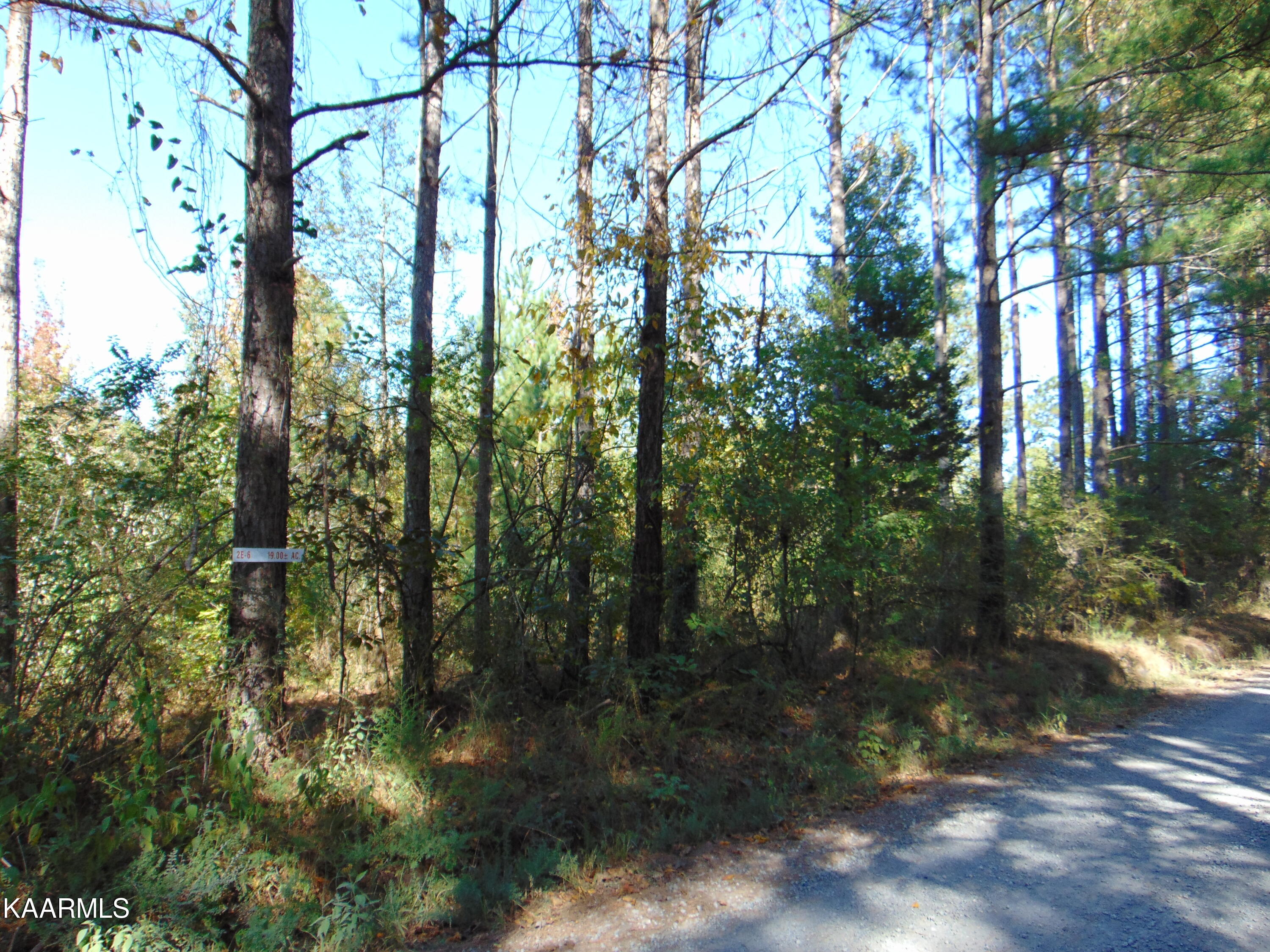 Tract 2-e-6 Tract 2-e-6 Charles Road Decatur, TN 37322 - Photo 2 of 6 DSC01616