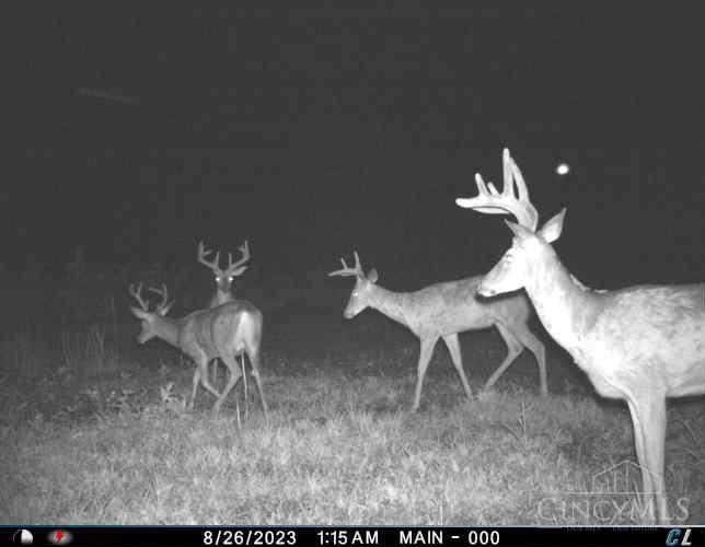 A Enley Road McDermott, OH 45652 - Photo 66 of 97