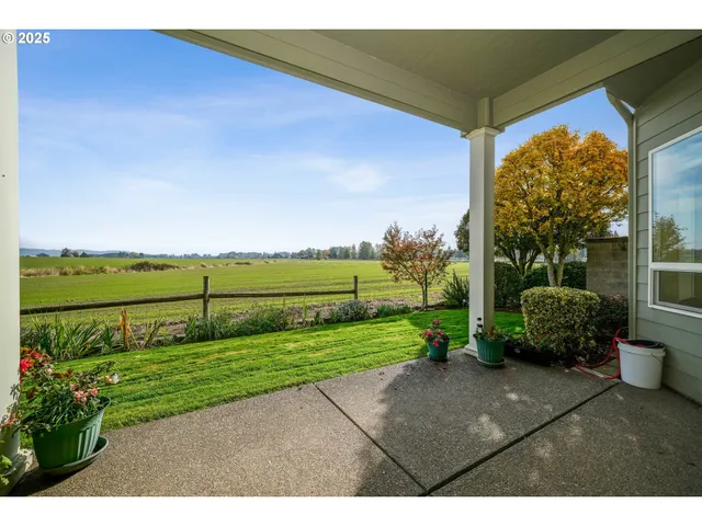 a view of a garden with an outdoor space