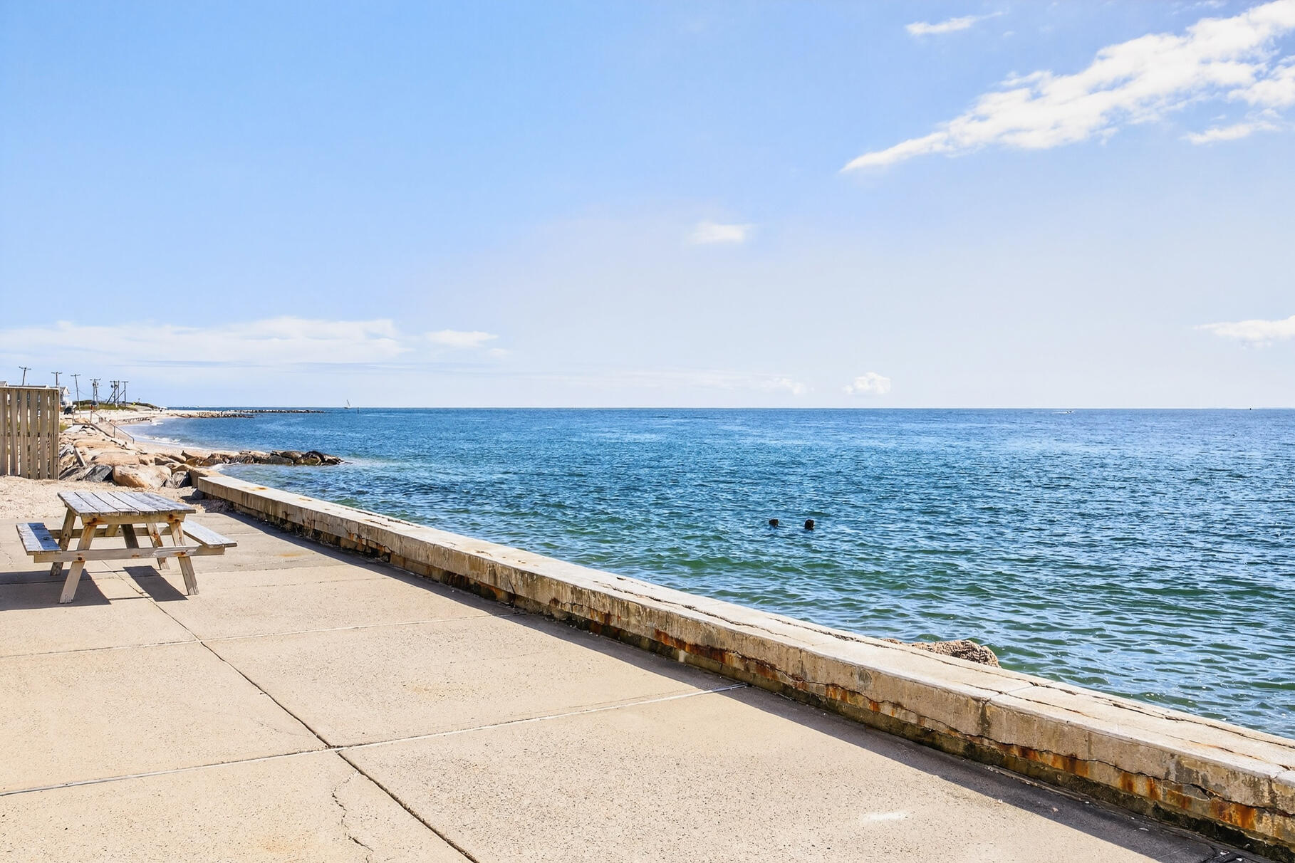 61 Menauhant Road East Falmouth, MA 02536 - Photo 46 of 65 117_9L4A1057