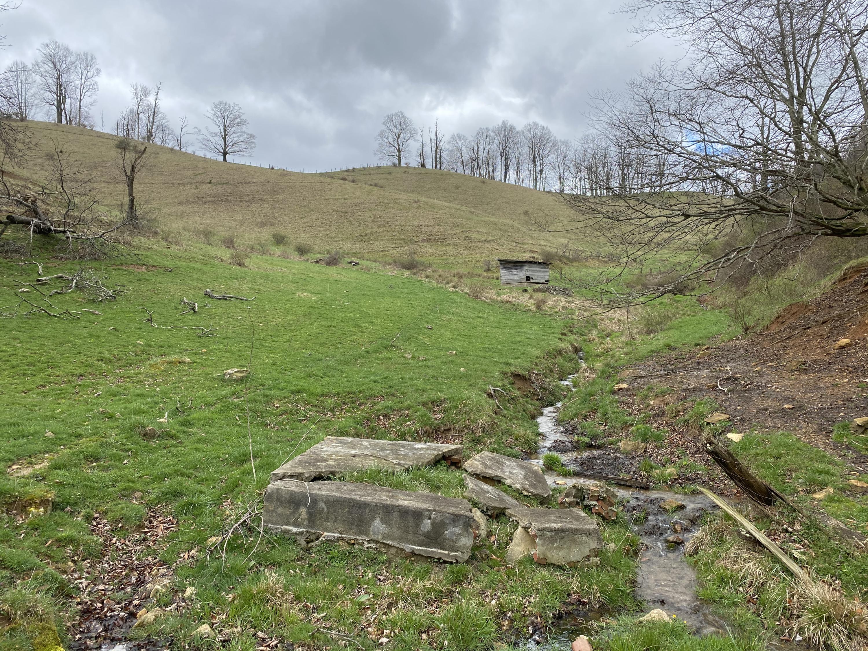 982 Buttermilk Road Trade, TN 37691 - Photo 25 of 50 Photo Mar 25, 1 44 59 PM