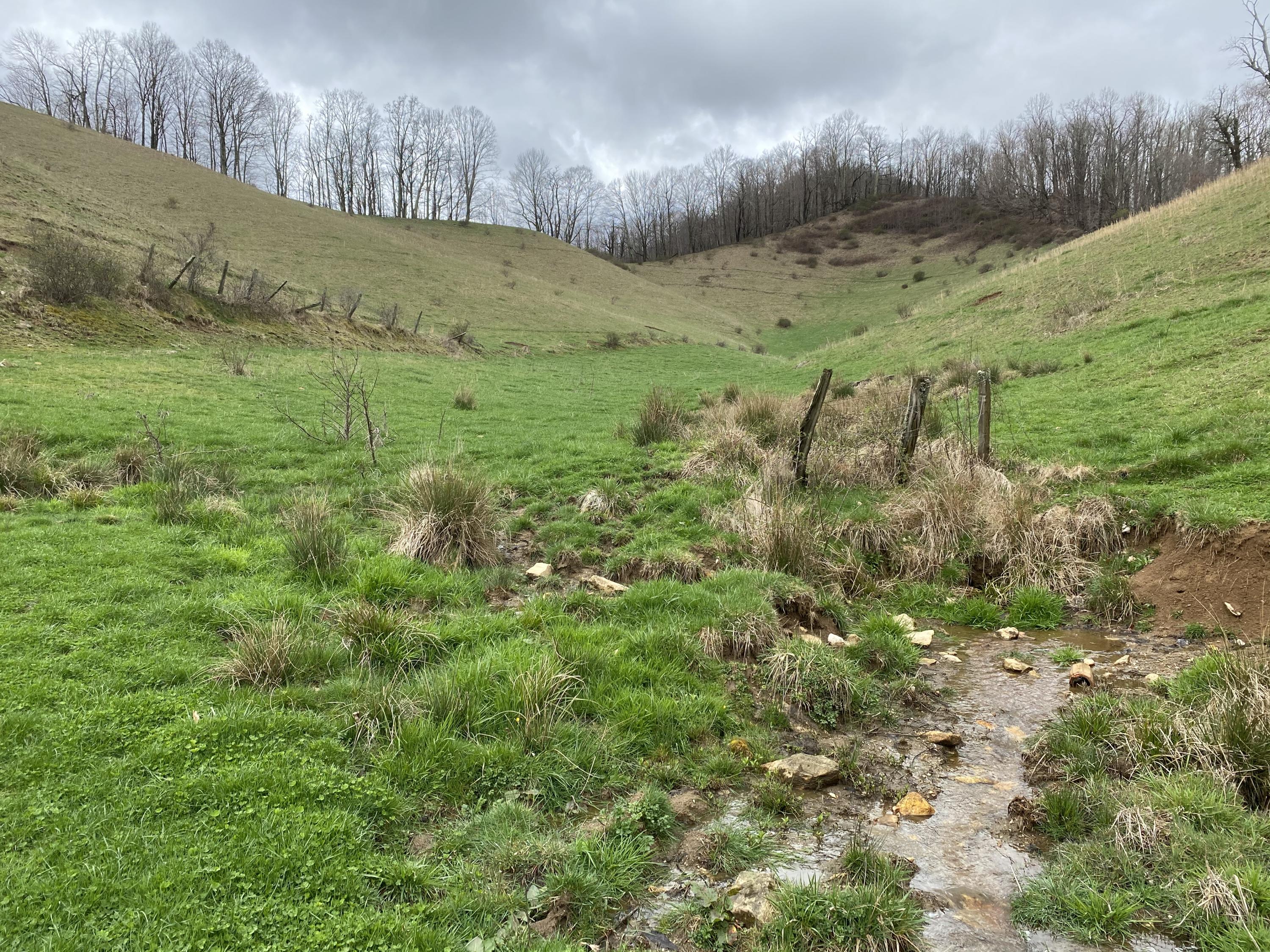 982 Buttermilk Road Trade, TN 37691 - Photo 27 of 50 Photo Mar 25, 1 47 04 PM
