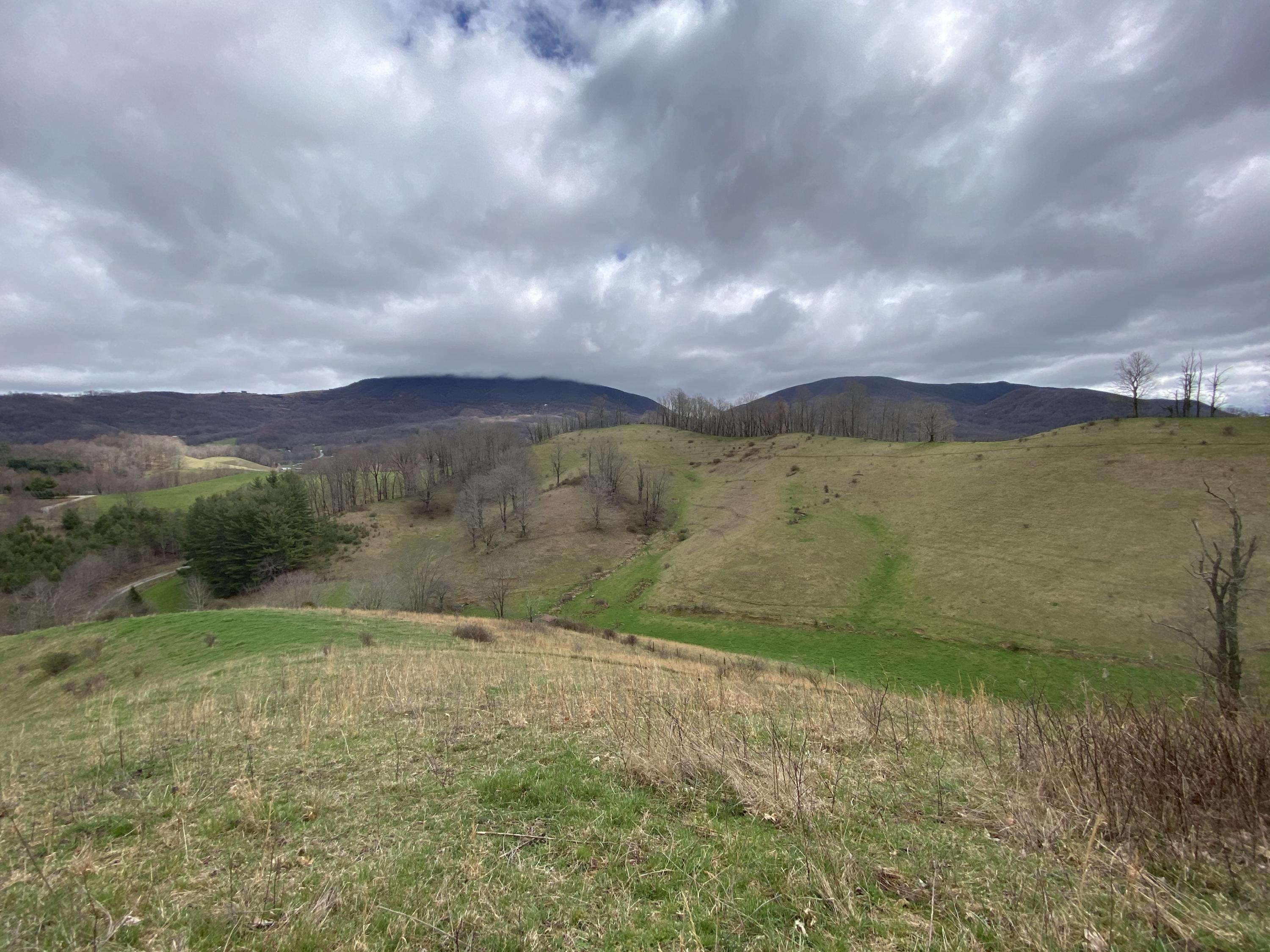 982 Buttermilk Road Trade, TN 37691 - Photo 29 of 50 Photo Mar 25, 1 54 01 PM