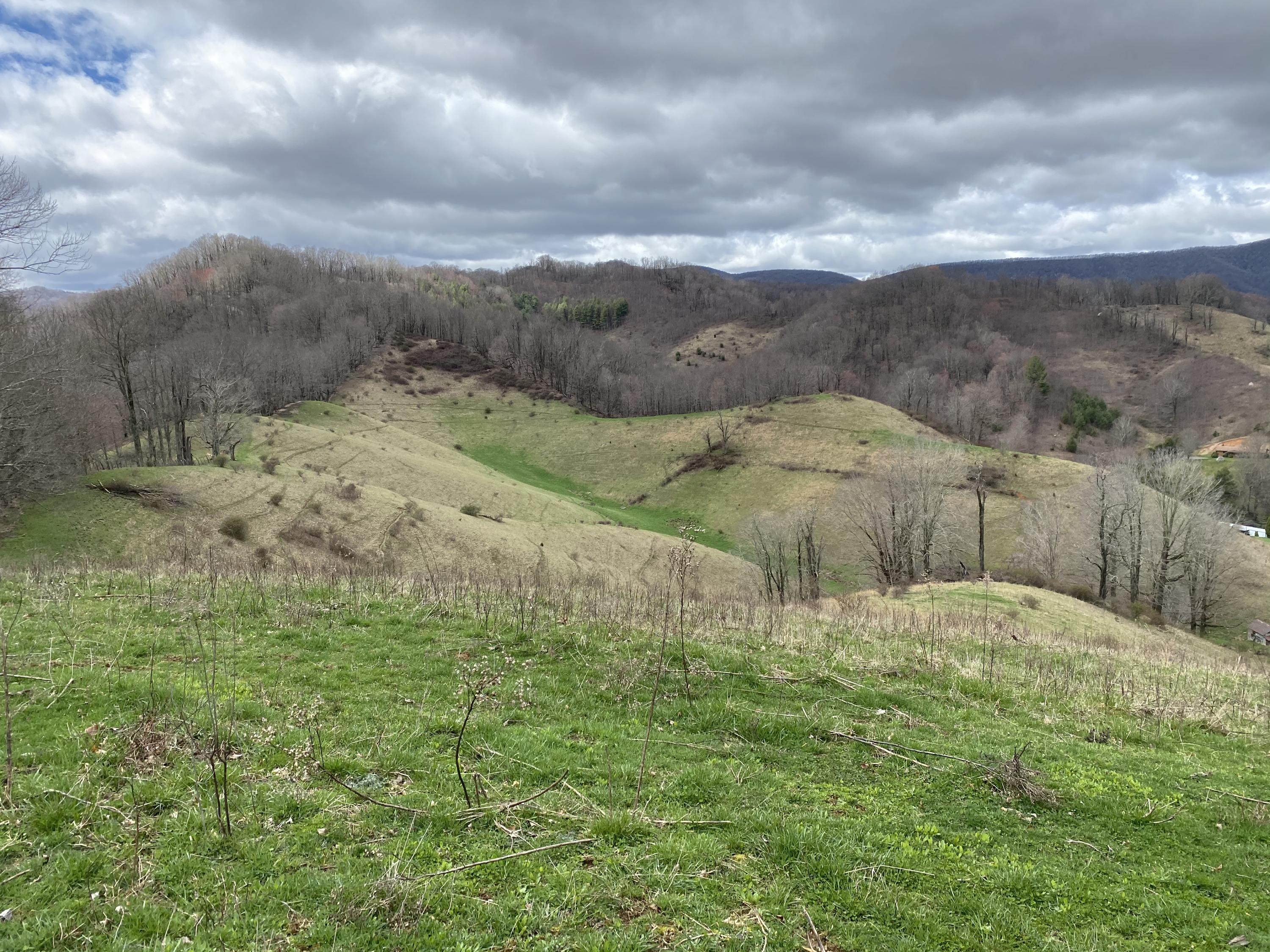 982 Buttermilk Road Trade, TN 37691 - Photo 38 of 50 Photo Mar 25, 2 17 25 PM