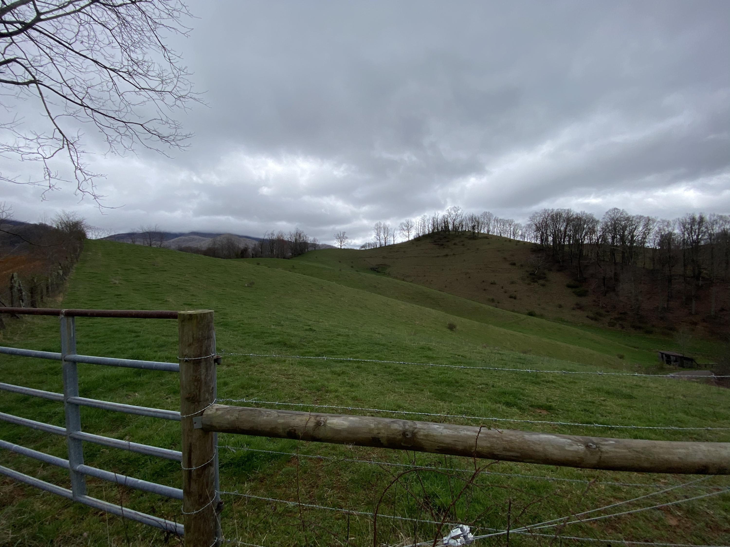982 Buttermilk Road Trade, TN 37691 - Photo 47 of 50 Photo Mar 25, 12 52 38 PM