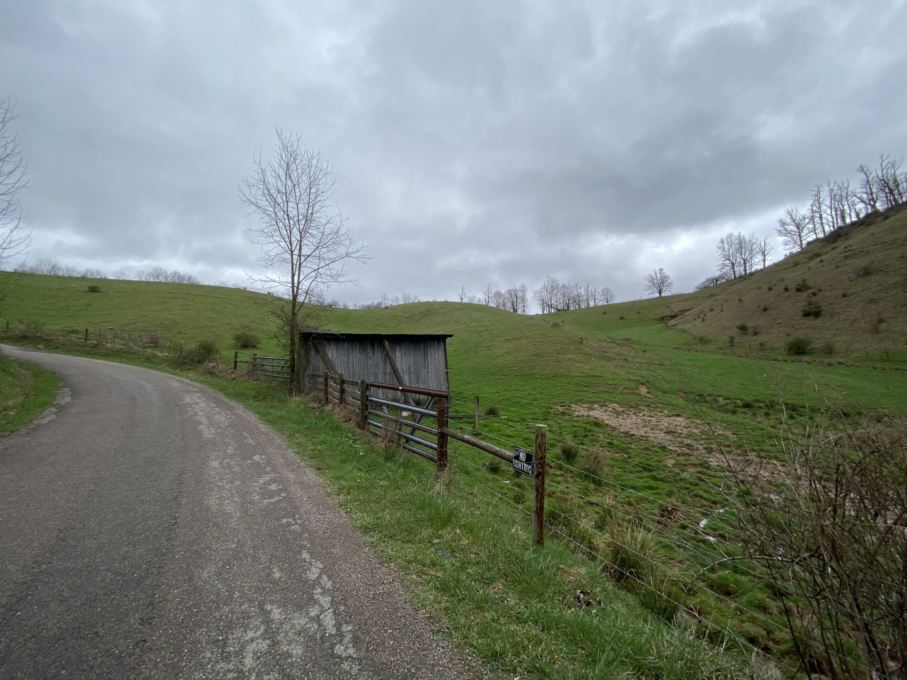 982 Buttermilk Road Trade, TN 37691 - Photo 49 of 50 Photo Mar 25, 12 58 16 PM