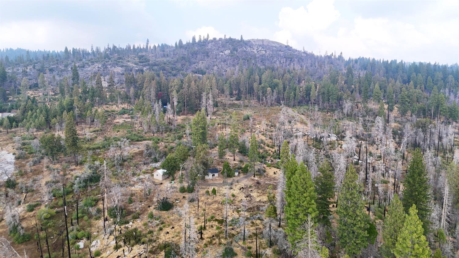 38295 Cressman Road Shaver Lake, CA 93664 - Photo 28 of 31 a view of mountain and trees