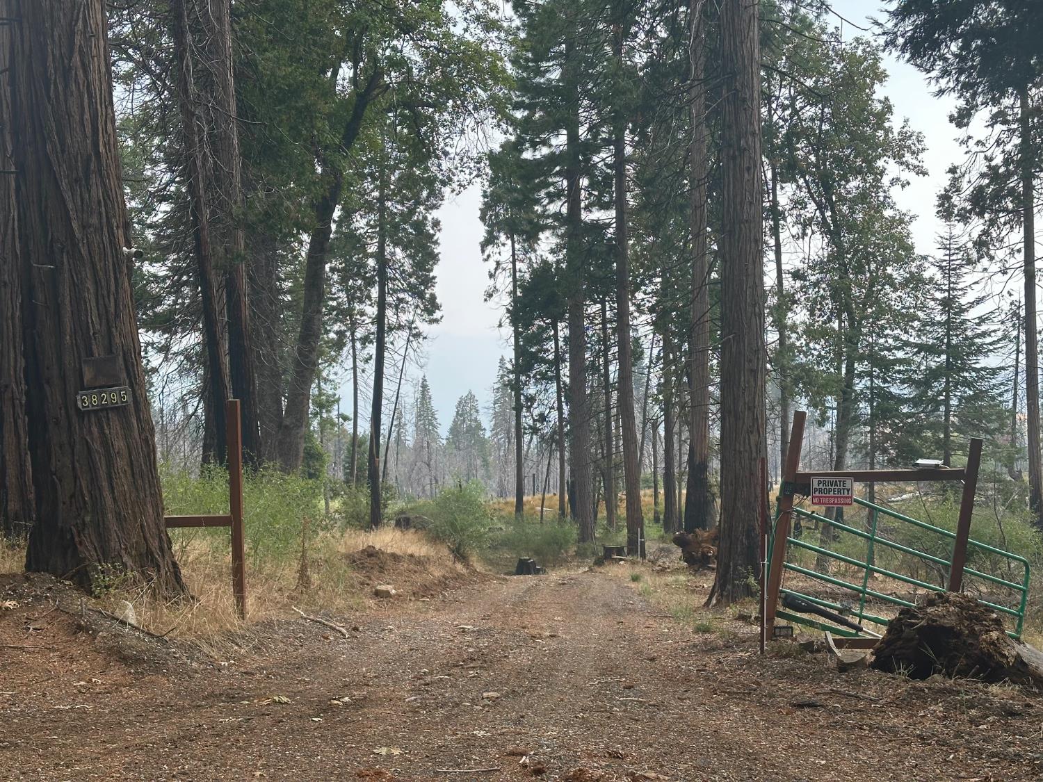 38295 Cressman Road Shaver Lake, CA 93664 - Photo 29 of 31 a backyard of a house with lots of green space