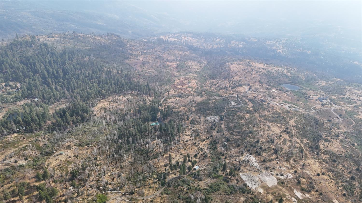 38295 Cressman Road Shaver Lake, CA 93664 - Photo 31 of 31 a view of a yard