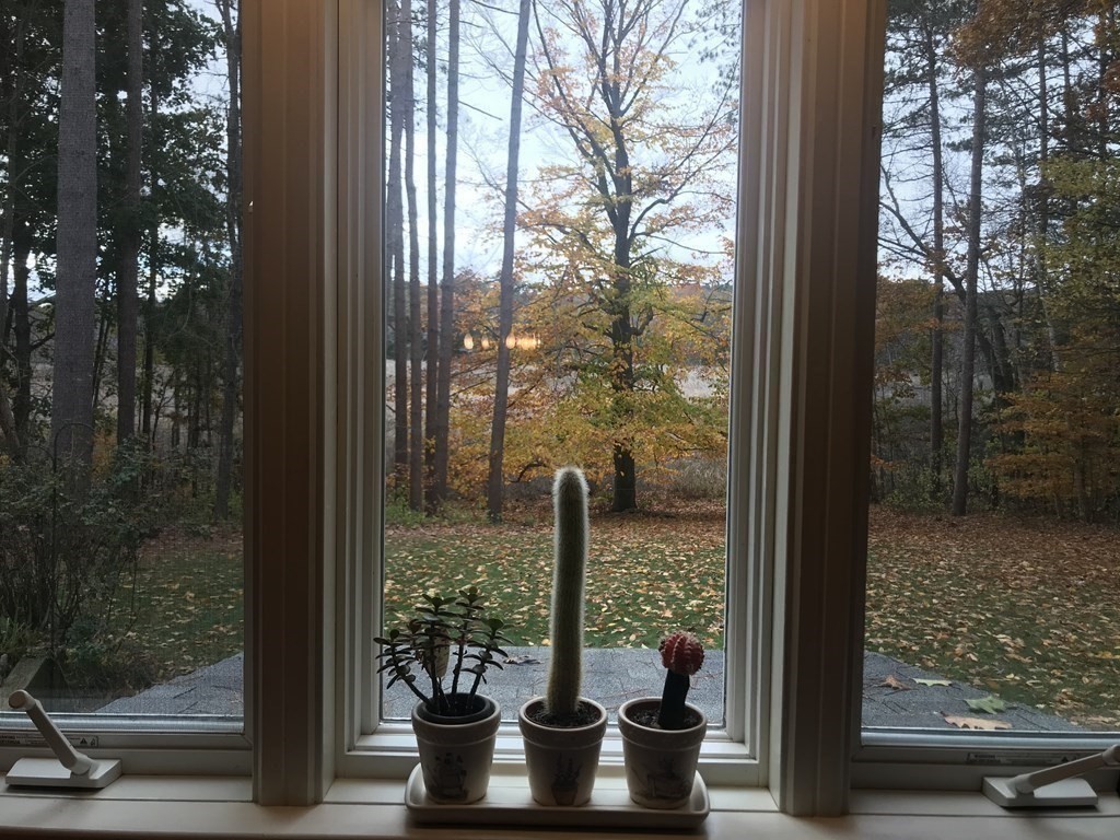 235 Perkins Row Topsfield, MA 01983 - Photo 14 of 25 Gallery Image 14