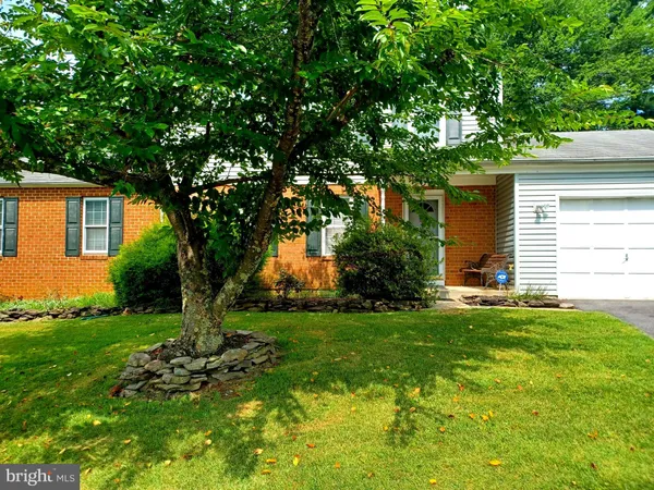 a view of a backyard with a large tree