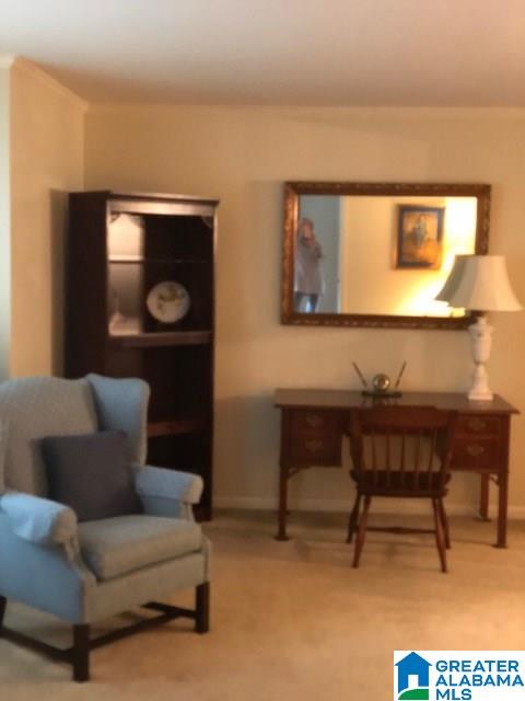 3623 Knightsbridge Road Mountain Brook, AL 35223 - Photo 2 of 50 Gallery Image 2