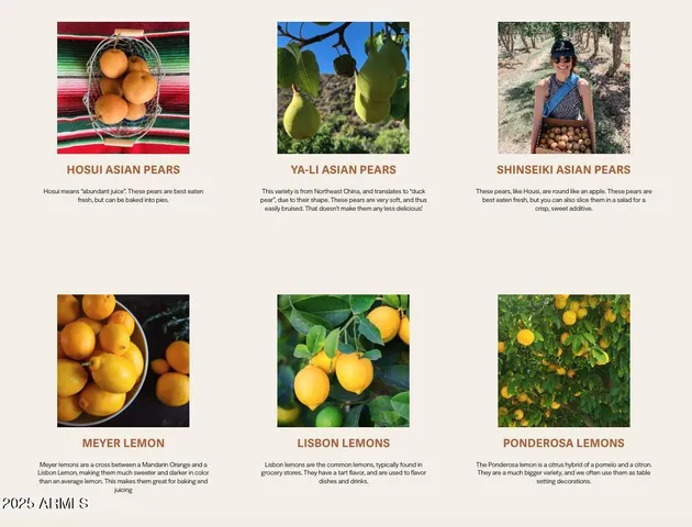 $3,350,000 | 89395 East Aravaipa Road, Winkelman, AZ 85192