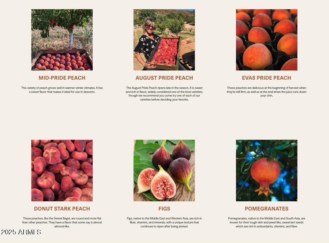 89395 East Aravaipa Road Winkelman, AZ 85192 - Photo 70 of 73 Orchard