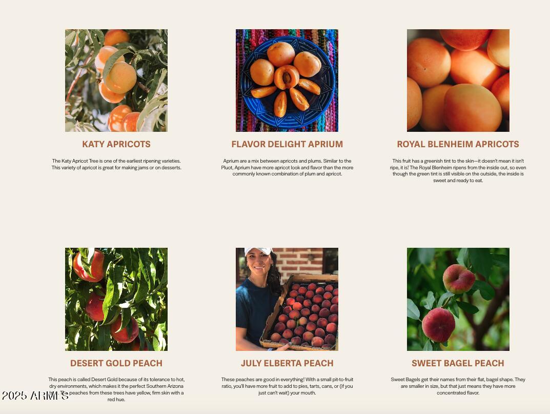 89395 East Aravaipa Road Winkelman, AZ 85192 - Photo 71 of 73 Orchard