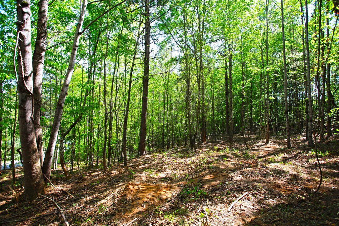 Lot 91 Harbor Point Seneca, SC 29672 - Photo 7 of 24 This tranquil wooded lot offers a private, natural setting for your future home.