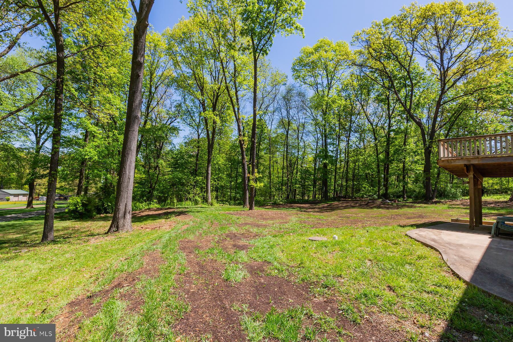 451 Red Hill Road Pequea, PA 17565 - Photo 47 of 52 a view of a backyard with trees