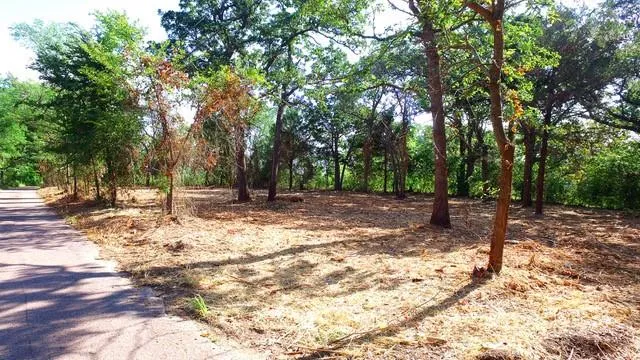 a view of outdoor space with trees