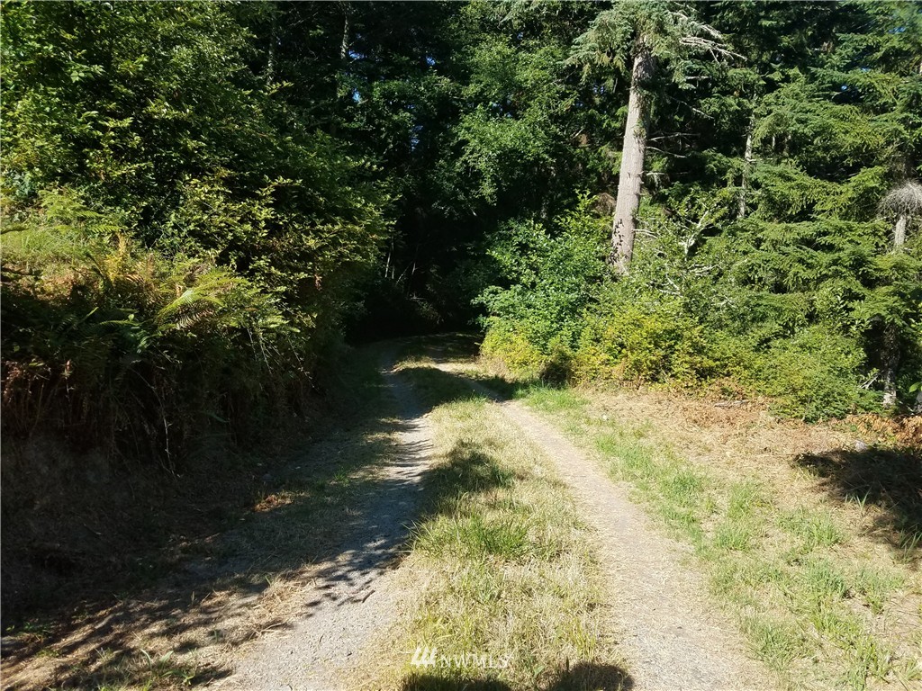 3850 South Amble Road Langley, WA 98260 - Photo 2 of 18 Gallery Image 2