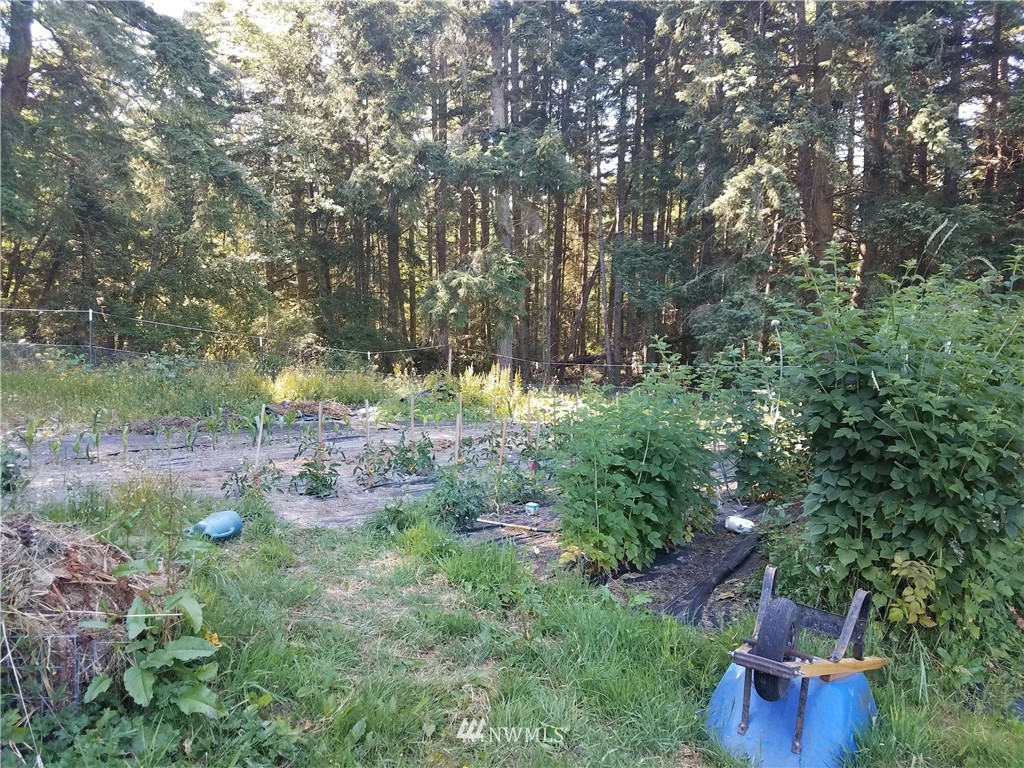 3850 South Amble Road Langley, WA 98260 - Photo 13 of 18 Gallery Image 13