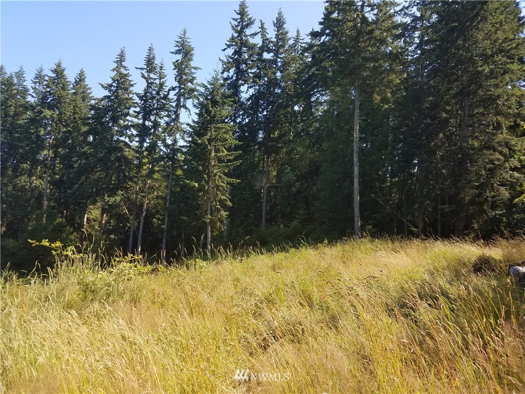 3850 South Amble Road Langley, WA 98260 - Photo 5 of 18 Gallery Image 5
