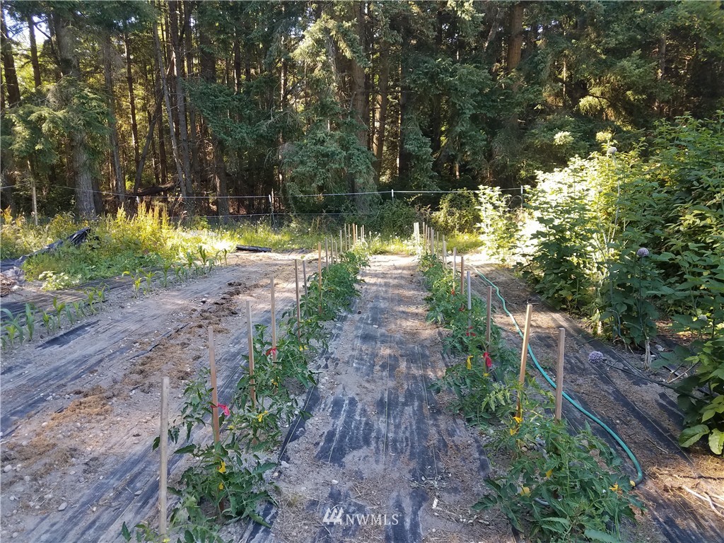 3850 South Amble Road Langley, WA 98260 - Photo 10 of 18 Gallery Image 10