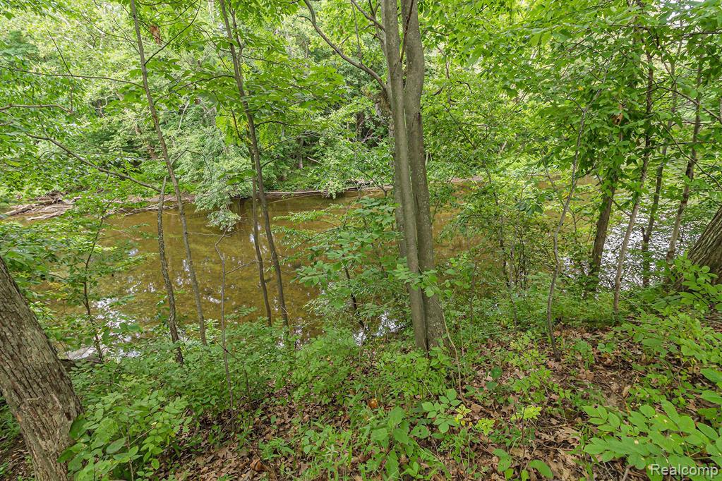 7277 Lehring Road Bancroft, MI 48414 - Photo 23 of 25
