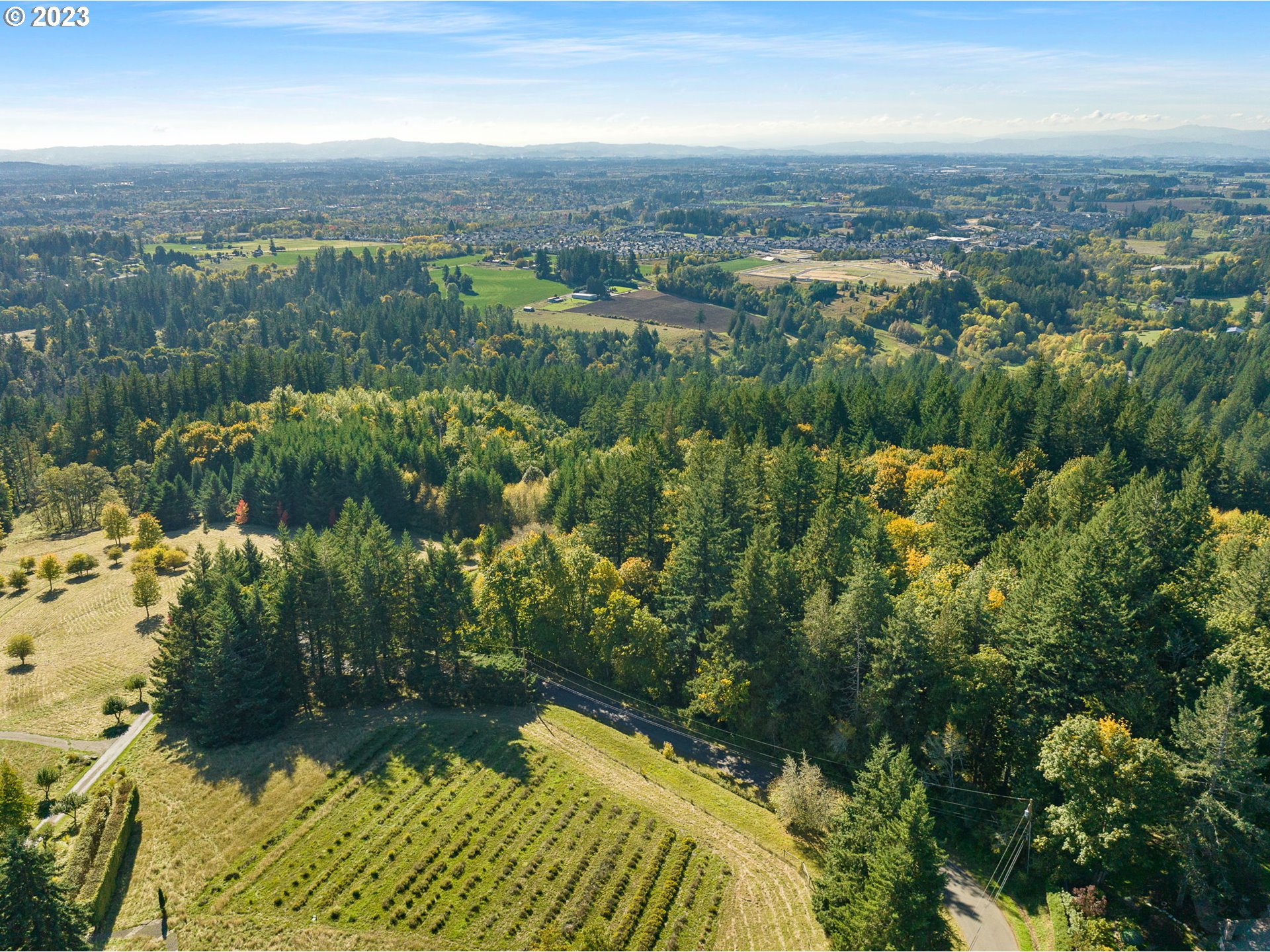 Northwest Old Germantown Road Portland, OR 97231 - Photo 11 of 11 view of city and green space