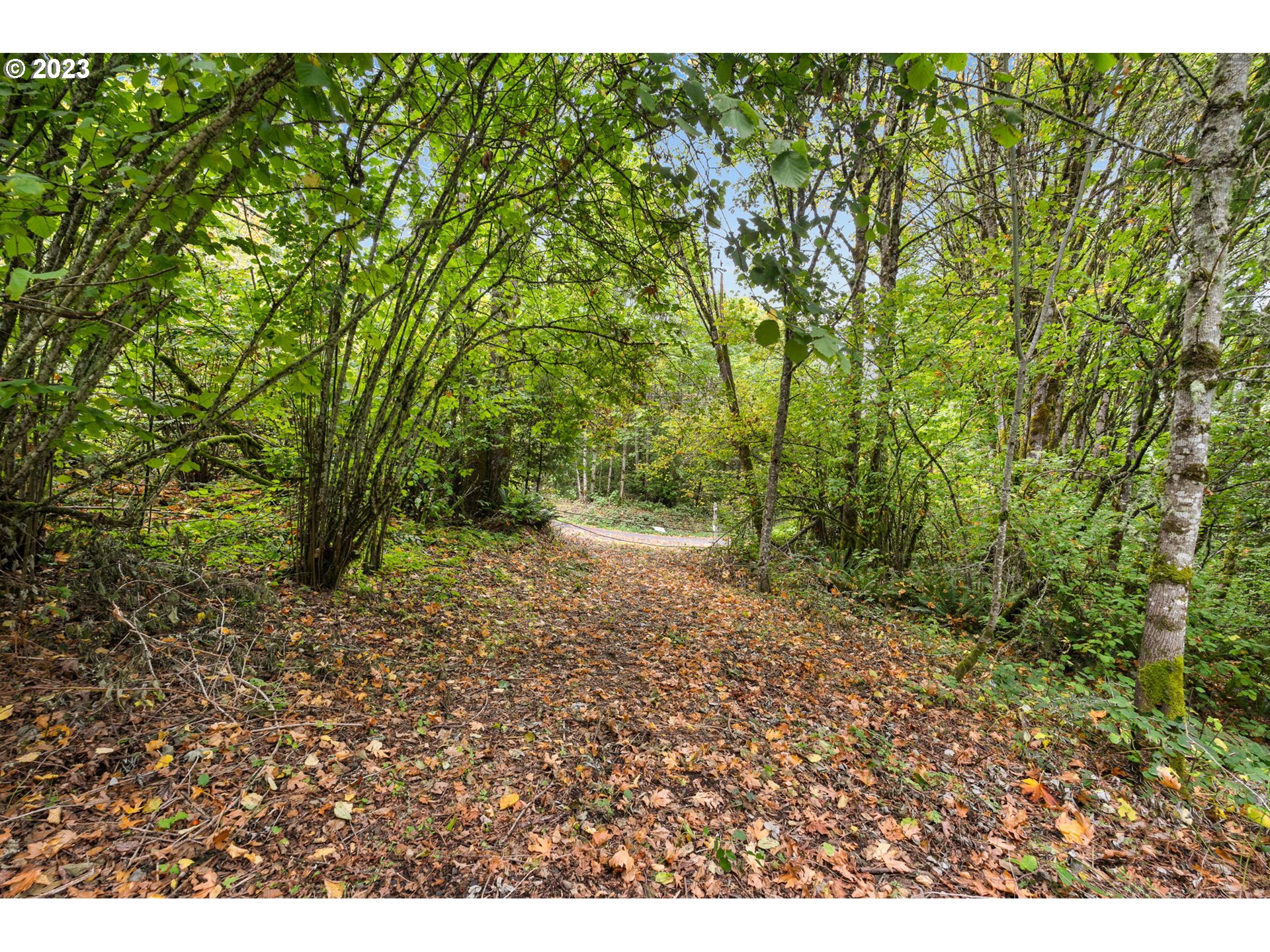 Northwest Old Germantown Road Portland, OR 97231 - Photo 6 of 11 a view of a yard with a tree