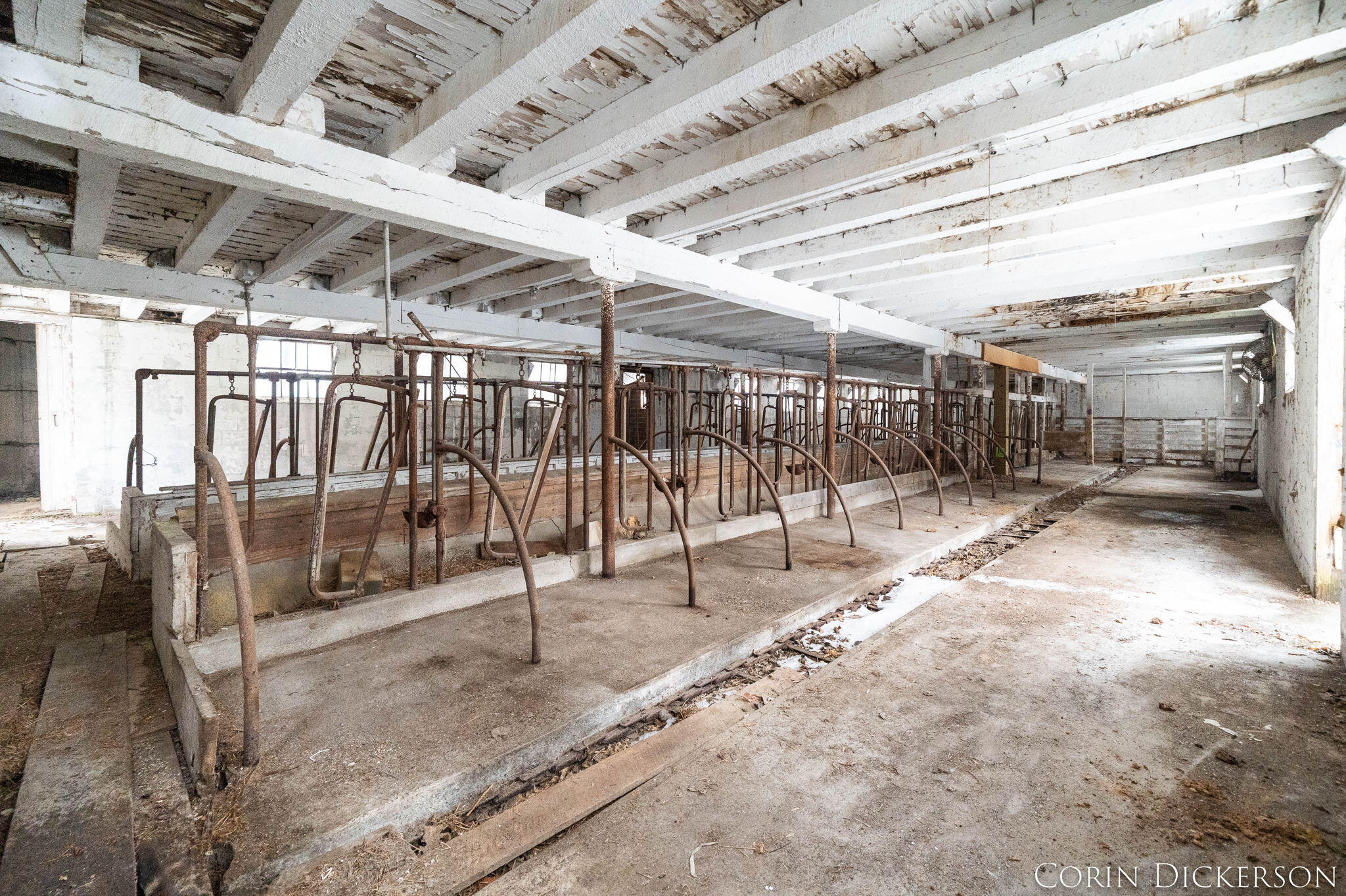 5306 West Carson City Road Greenville, MI 48838 - Photo 57 of 60 Dairy Barn