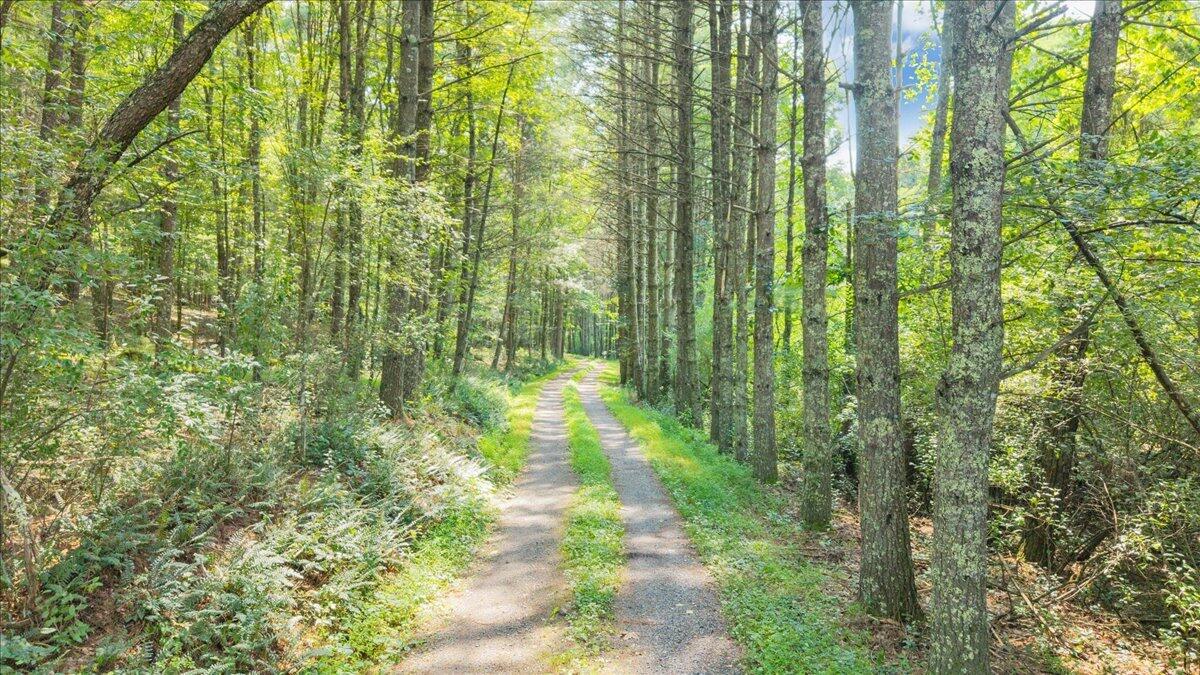 0 North Paint Bank Road Paint Bank, VA 24131 - Photo 3 of 19 23-DJI_20260810153525_0124_D