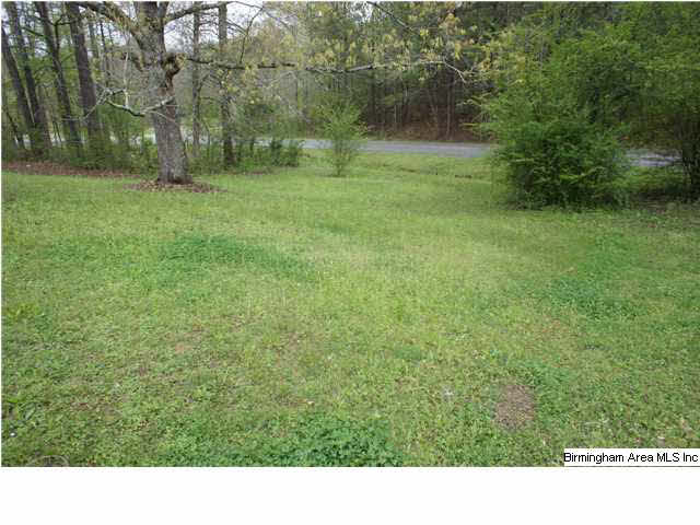 1620 Roulain Road Odenville, AL 35120 - Photo 9 of 10
