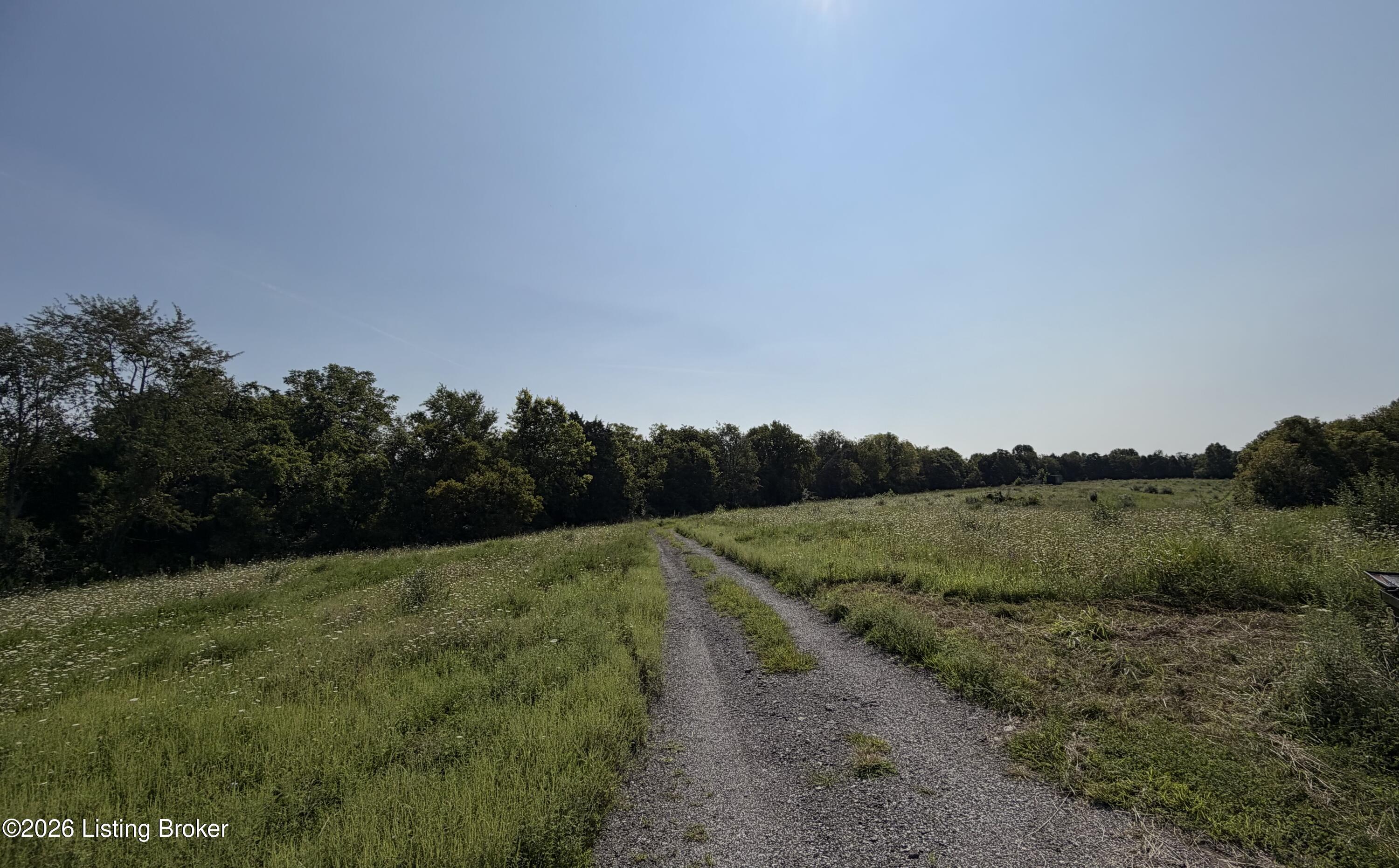 168 Wooded Ridge Road Sulphur, KY 40070 - Photo 8 of 12 IMG_7270