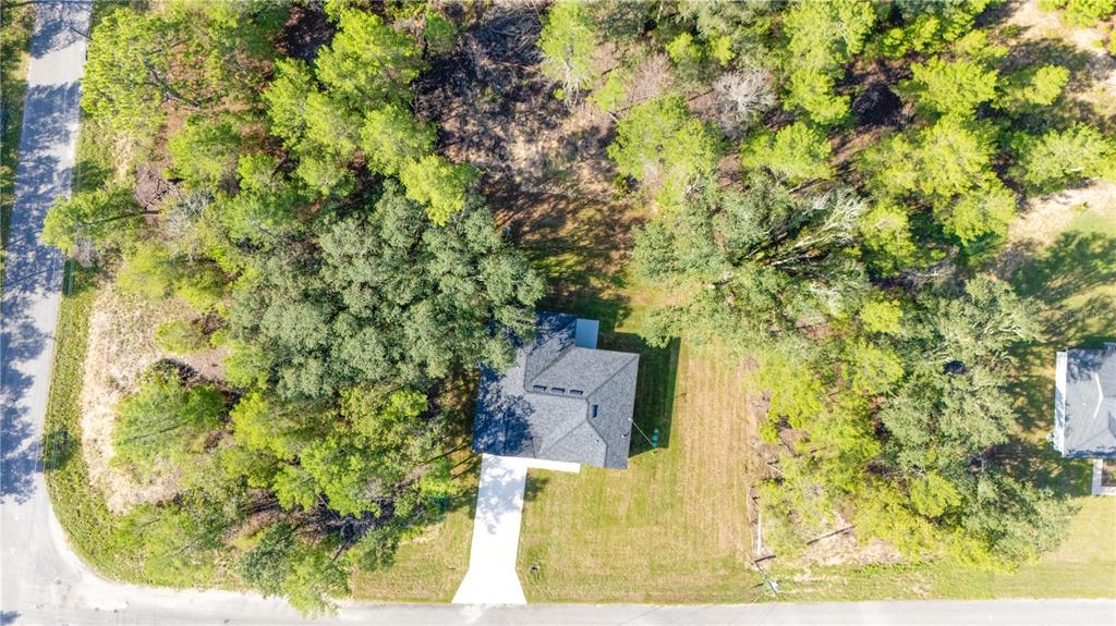58 Fisher Trace Run Road Ocklawaha, FL 32179 - Photo 4 of 21