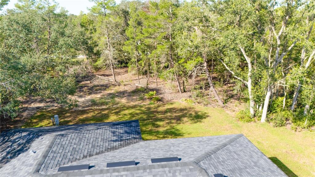 58 Fisher Trace Run Road Ocklawaha, FL 32179 - Photo 6 of 21