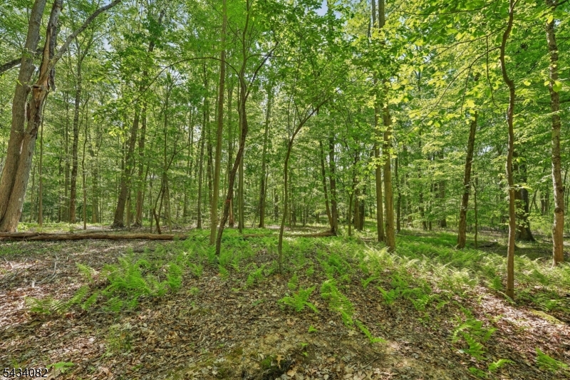 0 Homestead Road Gillette, NJ 07933 - Photo 1 of 26