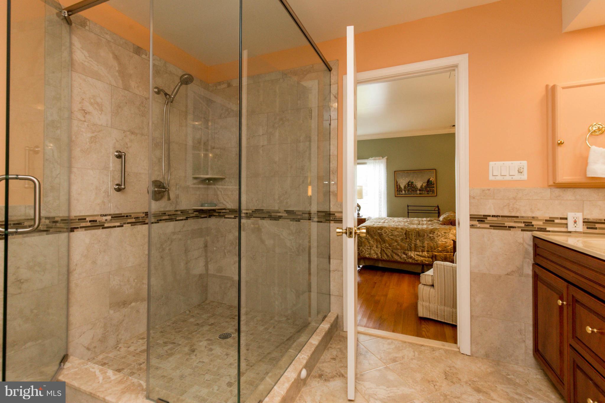 106 Ramsay Road Locust Grove, VA 22508 - Photo 20 of 26 Bath (Master)