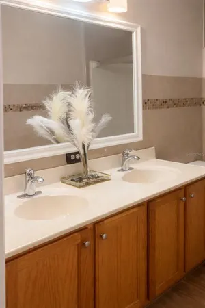 a bathroom with a sink and a mirror