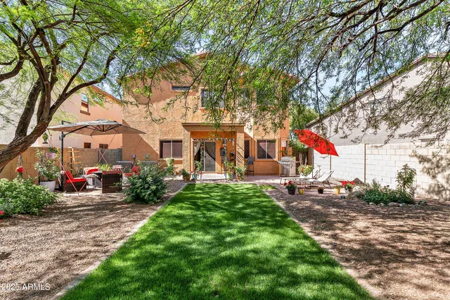 a view of a garden with a tree
