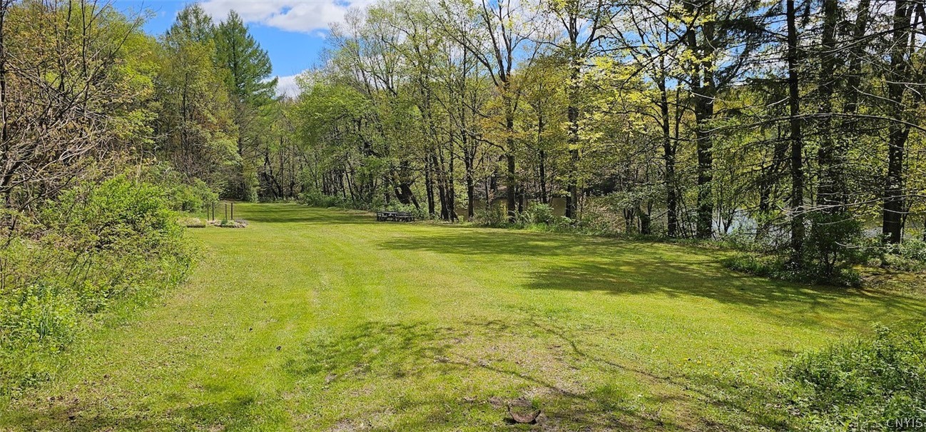 1720 County Route 12 De Ruyter, NY 13052 - Photo 6 of 49