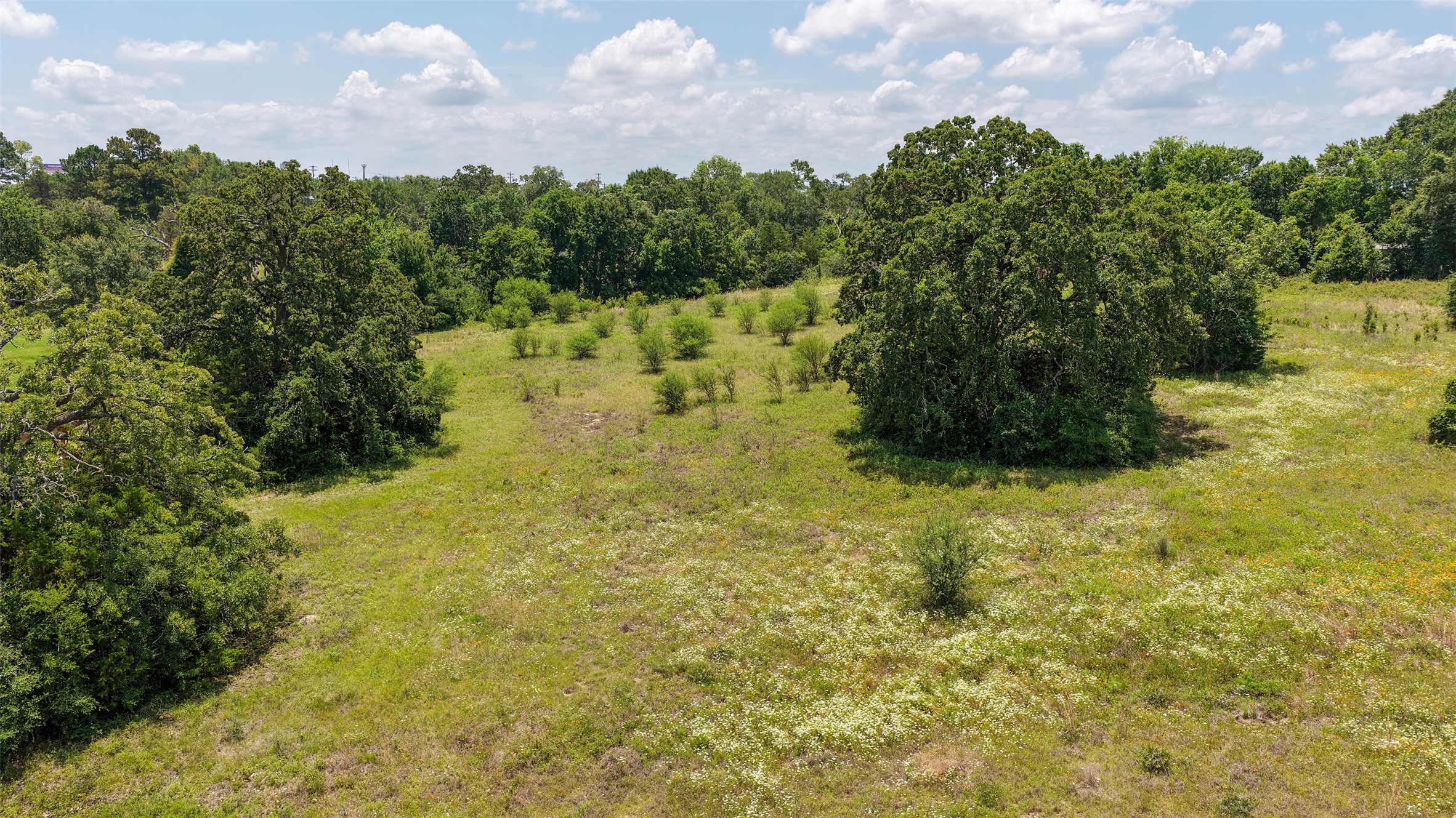 3133 Rolling Ridge Lane Brenham, TX 77833 - Photo 7 of 9